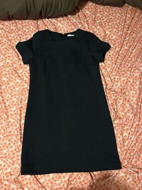 Calvin Klein Black Textured Short-Sleeve Mini Dress